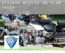 Seguros médico em  Plum Trees