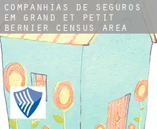 Companhias de seguros em  Grand-et-Petit-Bernier (census area)