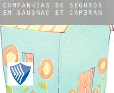 Companhias de seguros em  Saugnac-et-Cambran