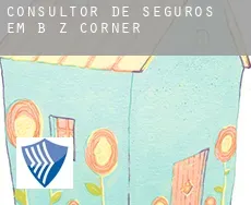 Consultor de seguros em B Z Corner