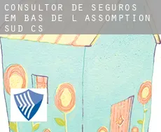 Consultor de seguros em  Bas-de-L'Assomption-Sud (census area)