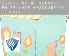 Consultor de seguros em  Bellair-Meadowbrook Terrace