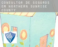 Consultor de seguros em  Northern Sunrise County