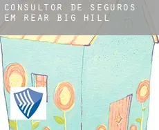 Consultor de seguros em  Rear Big Hill