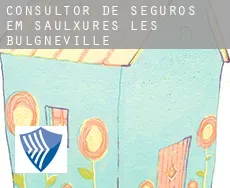 Consultor de seguros em Saulxures-lès-Bulgnéville