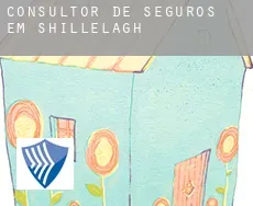 Consultor de seguros em  Shillelagh