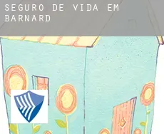 Seguro de vida em  Barnard