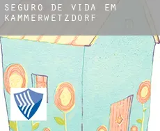 Seguro de vida em  Kammerwetzdorf