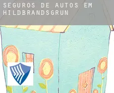 Seguros de autos em  Hildbrandsgrün
