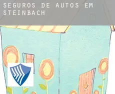 Seguros de autos em  Steinbach