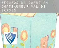 Seguros de carro em Châteauneuf-Val-de-Bargis