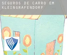 Seguros de carro em  Kleingräfendorf