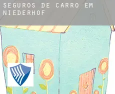 Seguros de carro em  Niederhof