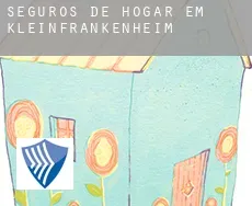 Seguros de hogar em  Kleinfrankenheim