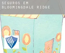 Seguros em  Bloomingdale Ridge