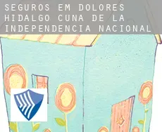 Seguros em  Dolores Hidalgo Cuna de la Independencia Nacional