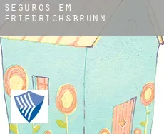 Seguros em  Friedrichsbrunn