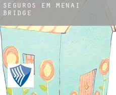Seguros em Menai Bridge