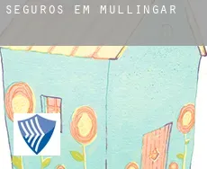 Seguros em  Mullingar