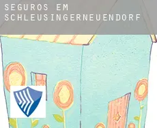 Seguros em  Schleusingerneuendorf