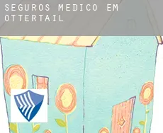 Seguros médico em  Ottertail