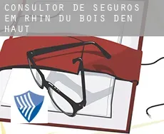 Consultor de seguros em  Rhin du Bois d'en Haut