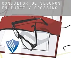 Consultor de seguros em  Three V Crossing