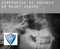 Companhias de seguros em  Mount Sabine