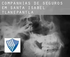 Companhias de seguros em  Santa Isabel Tlanepantla