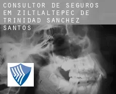 Consultor de seguros em  Ziltlaltepec de Trinidad Sanchez Santos