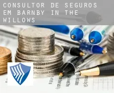 Consultor de seguros em Barnby in the Willows