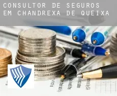 Consultor de seguros em  Chandrexa de Queixa