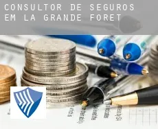 Consultor de seguros em  La Grande Forêt