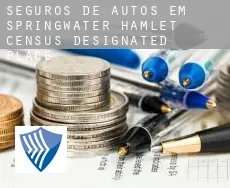 Seguros de autos em  Springwater Hamlet
