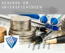 Seguros em  Unterspießwengen