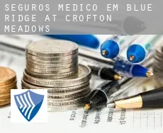 Seguros médico em  Blue Ridge at Crofton Meadows