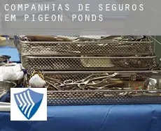 Companhias de seguros em  Pigeon Ponds