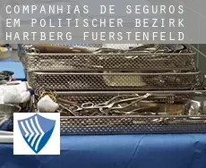 Companhias de seguros em  Politischer Bezirk Hartberg-Fuerstenfeld