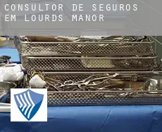 Consultor de seguros em  Lourds Manor