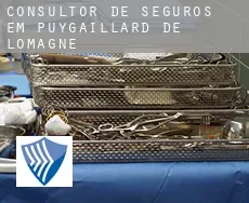 Consultor de seguros em  Puygaillard-de-Lomagne