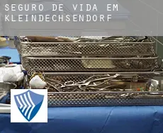 Seguro de vida em  Kleindechsendorf