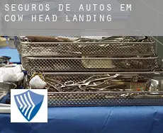 Seguros de autos em  Cow Head Landing