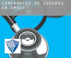 Companhias de seguros em  Amboy