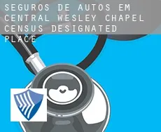 Seguros de autos em Central Wesley Chapel